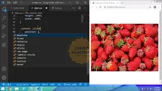 Image Slider with Arrow Button using HTML, CSS and JavaScript | LUMEO ACADEMY