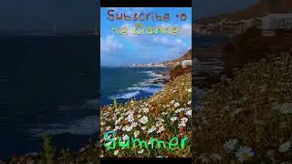 (FREE) PLAYBOI CARTI x PIERRE BOURNE x PLUGGNB TYPE BEAT "SUMMER" #shorts #playboicarti