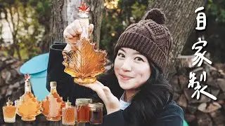My Backyard Maple Syrup Production in Quebec! Love That Golden Color!
