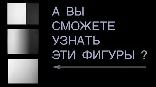 Свет, тень и тон в рисунке: как они связаны между собой?