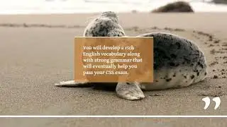 5 ways to prepare CSS at Home
