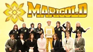 Marigold: Rossy's New Promotion