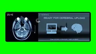 READY FOR CEREBRAL UPLOAD animations on green screen - VFX for video Editing 