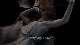 Everybody Knows- Sigrid (Slowed)