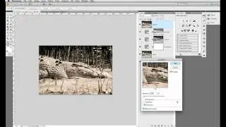 Quick Tip: Split Toning in Photoshop
