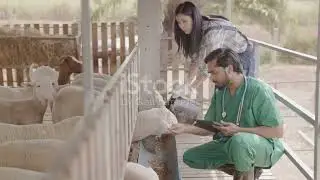 Antinutrisi Pada Pakan Asal Hewani (1)