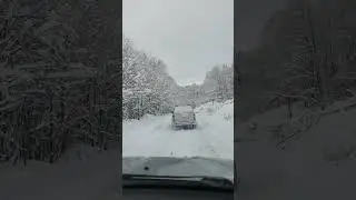 Попрыгушки