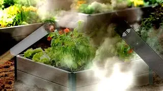 Как поливать цветы ПАРОМ И БЕЗ ВОДЫ?