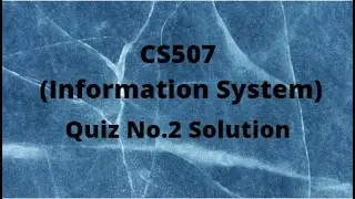 CS507 (Information System) Quiz No.2 Solution Spring 2022