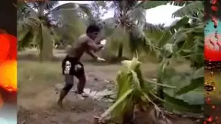 Как тренеруются таискому боксу!