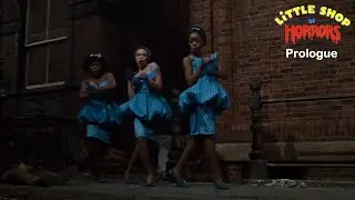 Prologue | Little Shop of Horrors