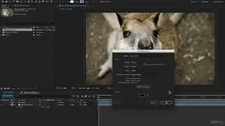 after effects Shapes and Solid Layers Working with Solid Layers