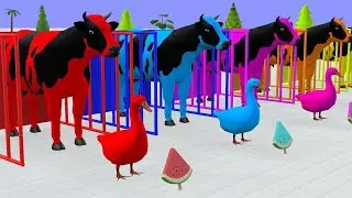 Duck cartoon Vs Gorilla, Lion, cow, Tiger, Elephant, Mammoth Wild Animals Cartoons #cartoons