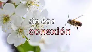 FÁBULA DE LA ABEJA - La desconexión del ego, o la conexión con el TODO