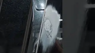 Что делать когда птичий помёт въелся в лак?