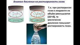 18. Люди, карлики и великаны. ч5. Растворимость газов в воде