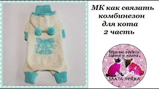 35. МК Как связать комбинезон коту ч2