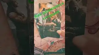 #феникстаро