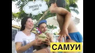 Остров Самуи. Зимовка в тайланде с детьми. Аренда дома в Тайланде. Расходы