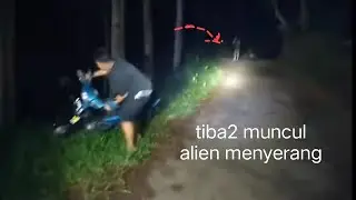 motor vlog alas purwo dini hari