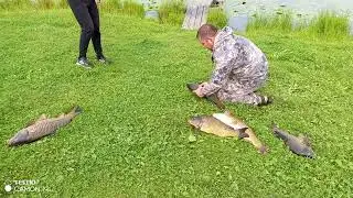 Не плохой улов .Поймал отпусти...👍👍👍