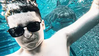 ԶԱՊԸ ԳՏՆՎՈՒՄ Ա ԴՈՒԲԱՅՈՒՄ😱Dubai Vlog - Ferrari Park, Safari ,Burj Khalifa, Sea