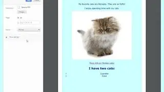 How to turn in your simple HTML webpage