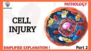 Cell Injury Pathology | Necrosis | Part 2
