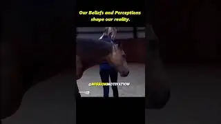 Shape Your Beliefs And Watch Your Reality Shift