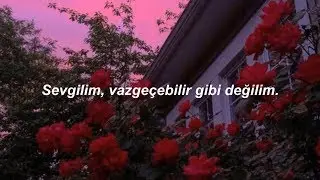 The Last Shadow Puppets - Sweet Dreams, TN | Türkçe Çeviri
