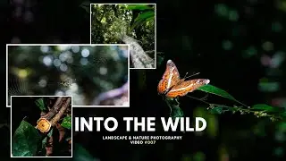 LANDSCAPE PHOTOGRAPHY explore the nature