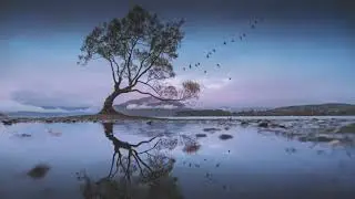 Epic Build Trailer   Royalty Free Background Music