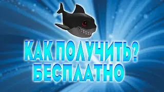КАК ПОЛУЧИТЬ АКУЛУ НА ПЛЕЧО БЕСПЛАТНО!!!
