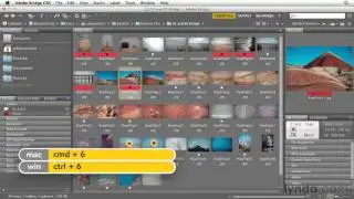 15 - Рейтинг и маркировки изображения  (фотошоп с нуля)