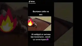 #мемы
