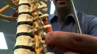 Core Strength - Fitness Secrets! Pain Relief & Wellness Programs Randolph NJ