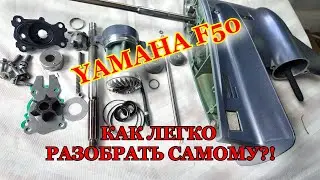 Yamaha F50 Как самому разобрать редуктор! Замена всех сальников своими руками!