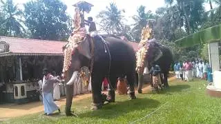 ആറാട്ട എഴൂന്നള്ളത്  | ഉരുളികുന്നം