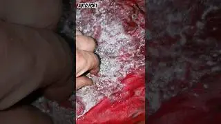 Жесть на СТО или "серебряные прииски" в антифризе. #будниавтосервиса