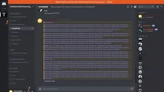 Discord Spam #4