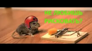 Как снизить риски при повышении заработка. Проект Элеврус.