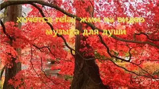 Успокаивающая музыка для сна