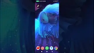 MUDAR O NOME DE USUÁRIO NO TIKTOK #TIKTOK