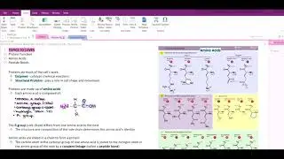 OneNote Tutorial