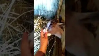 Мои любимки! 😊😊😊❤️