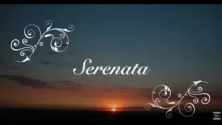Serenata Mike Bahia - letra