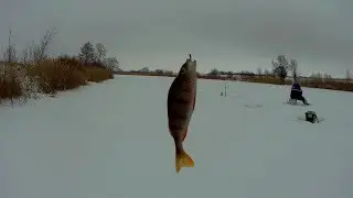 Рыбалка на жерлицы.Ловля окуня на безмотылку.Рыбалка зимой.