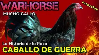 WARHORSE  raza de gallinas finas Gallos Historia y Características