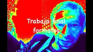 Trabajo Final formatos