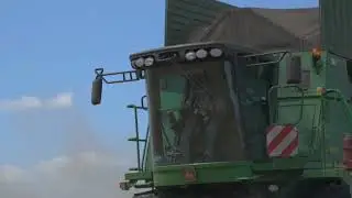 Посевные качества семян зерновых